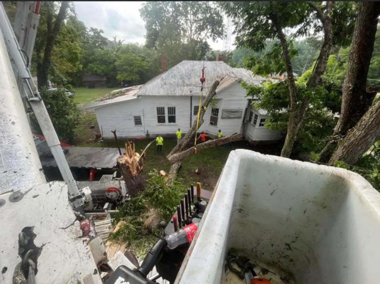 Quick tree removal and storm cleanup services for properties in Bamberg and surrounding areas.