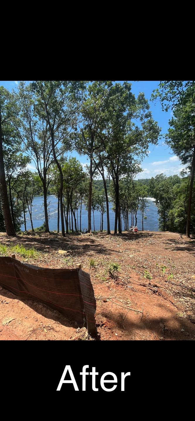 Land clearing process showcasing equipment clearing trees and debris from a property.