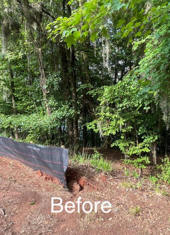 Lot and land clearing project by Causey’s Tree Care in South Carolina