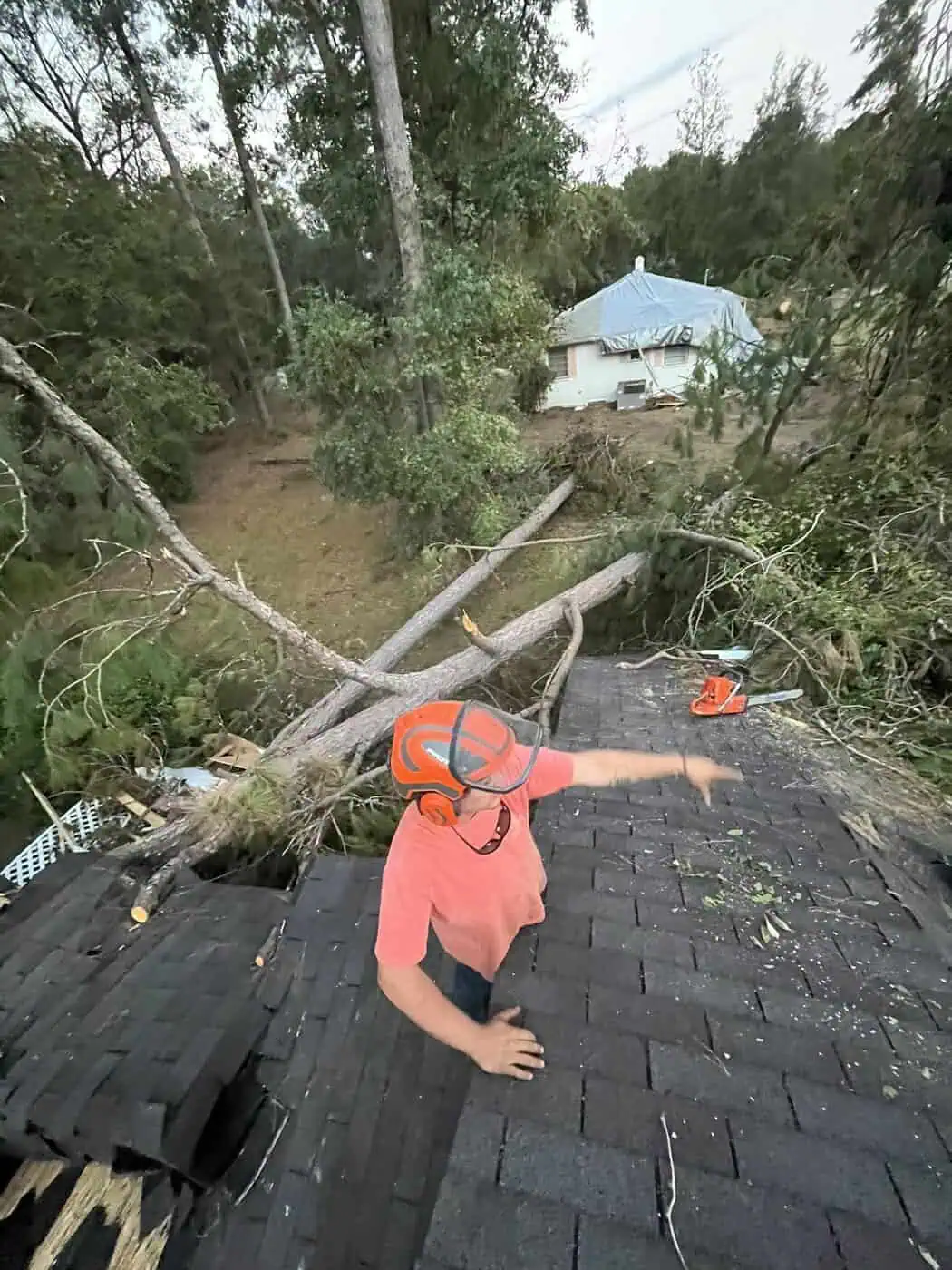 Storm tree cleanup by Causey’s Tree Care in South Carolina