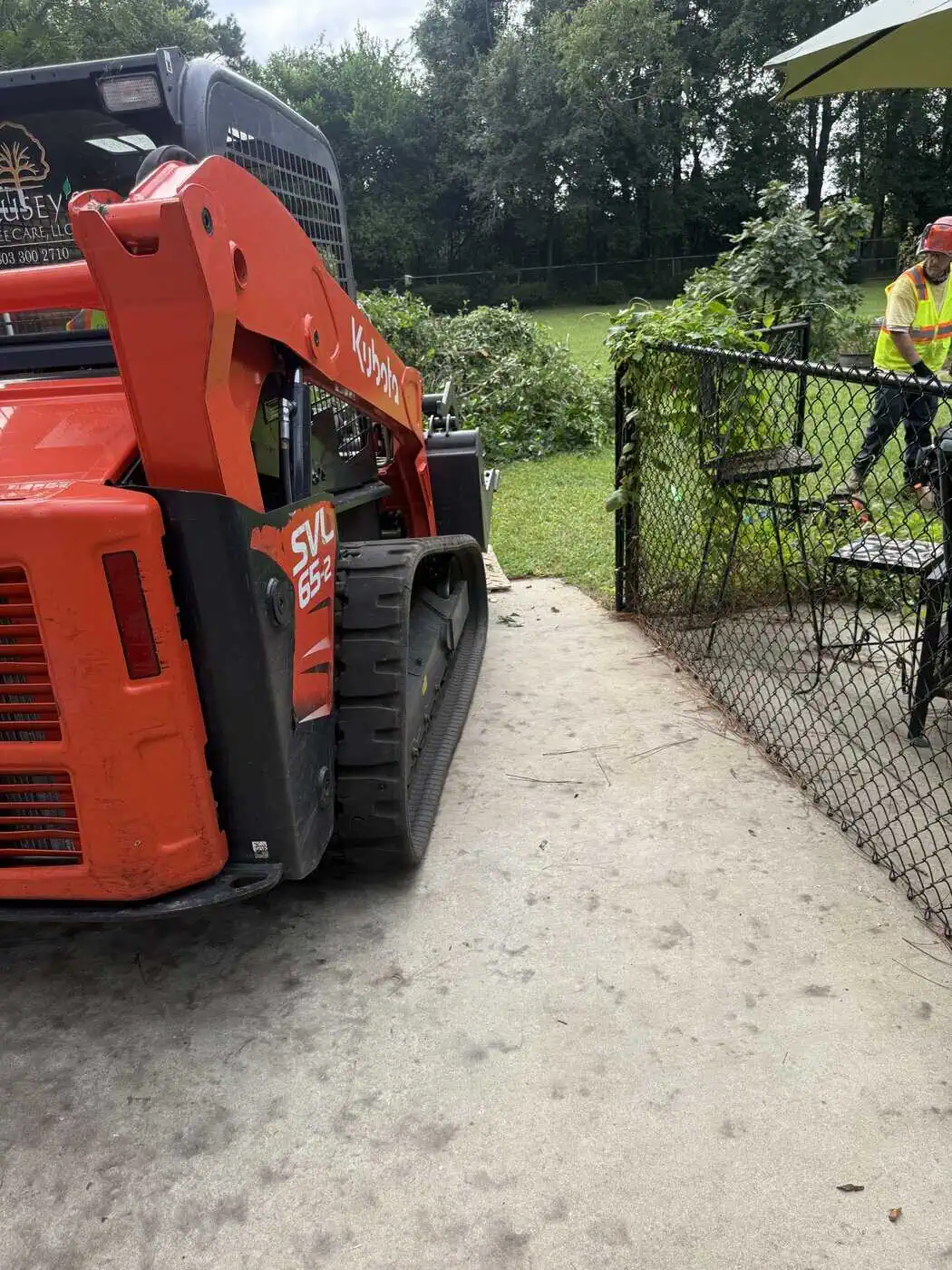 Professional brush cutting service in action clearing thick undergrowth in South Carolina.