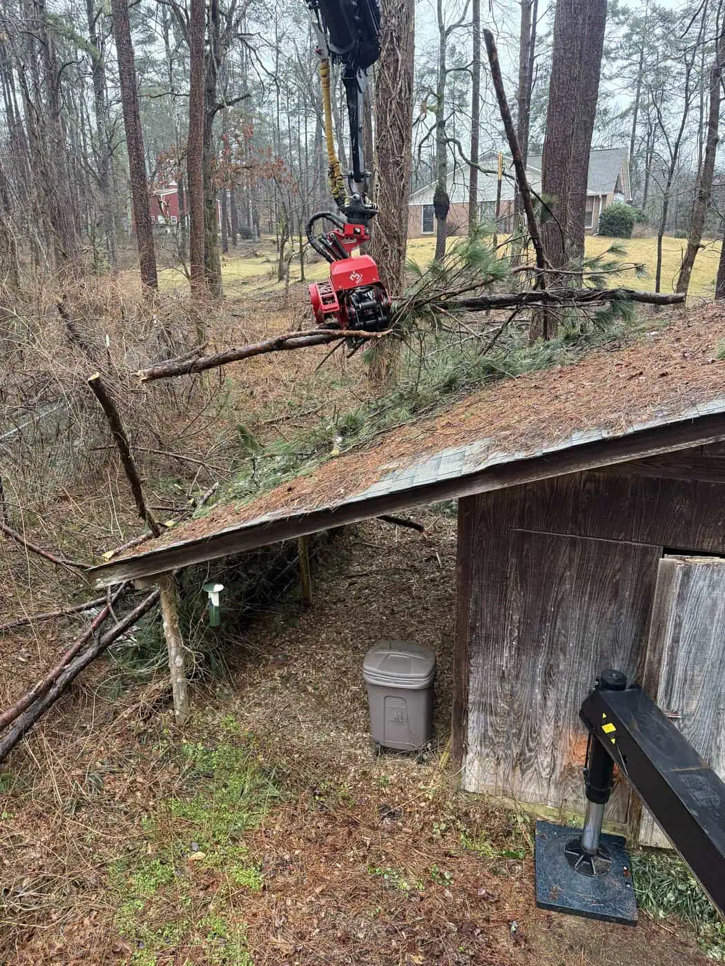 Professional tree care service addressing fallen trees in Bamberg area.