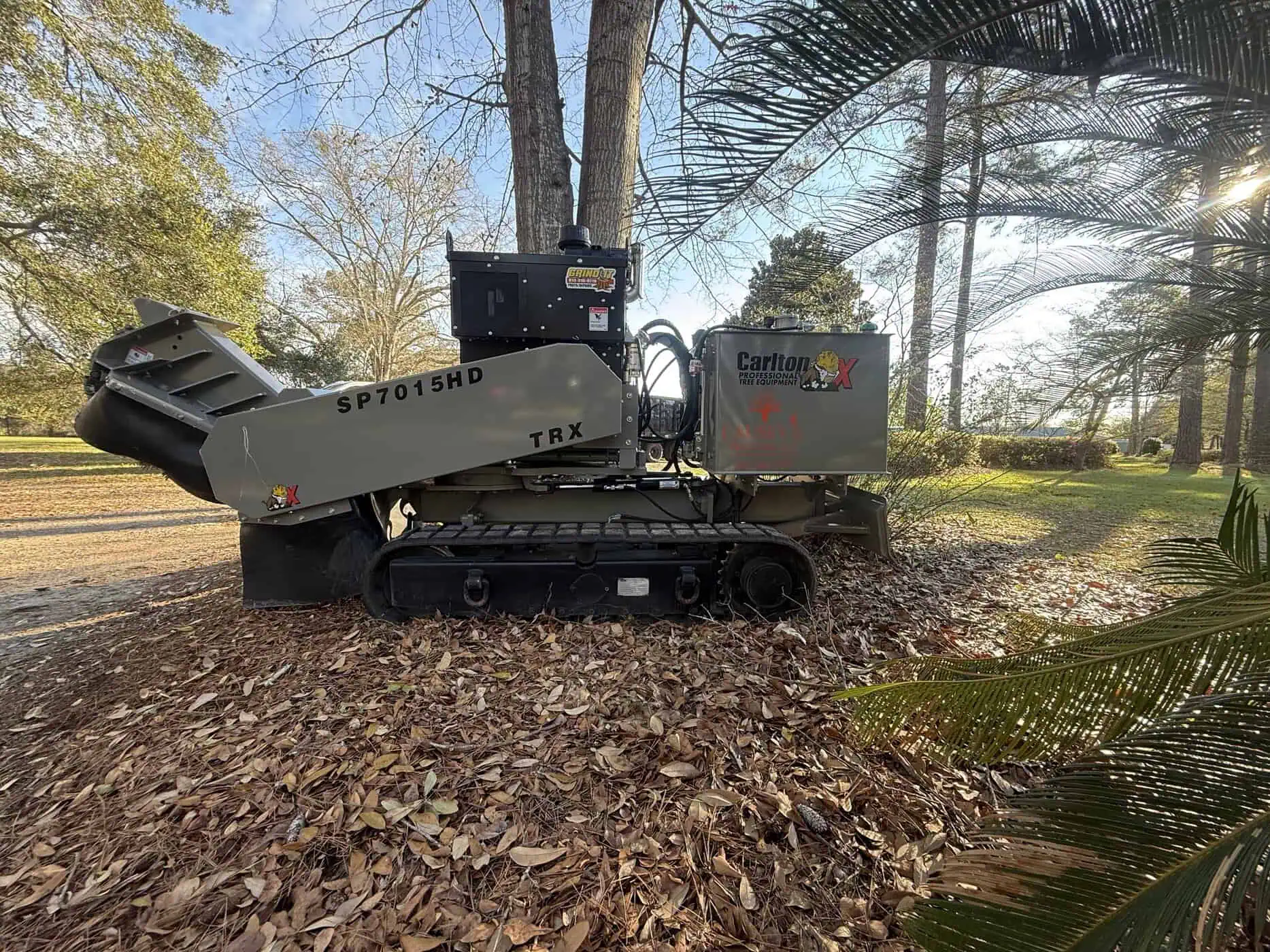 Expert stump grinding in Aiken, efficiently removing tree stumps to enhance property safety.