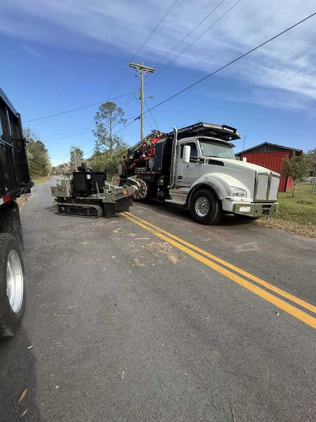 Professional stump grinding service clearing tree stumps from a property.