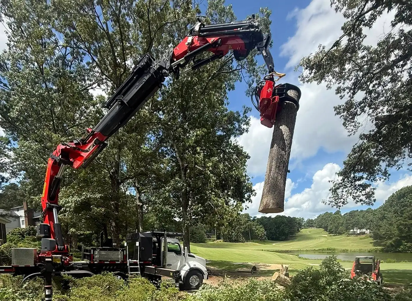 Tree removal service in Barnwell South Carolina residential property