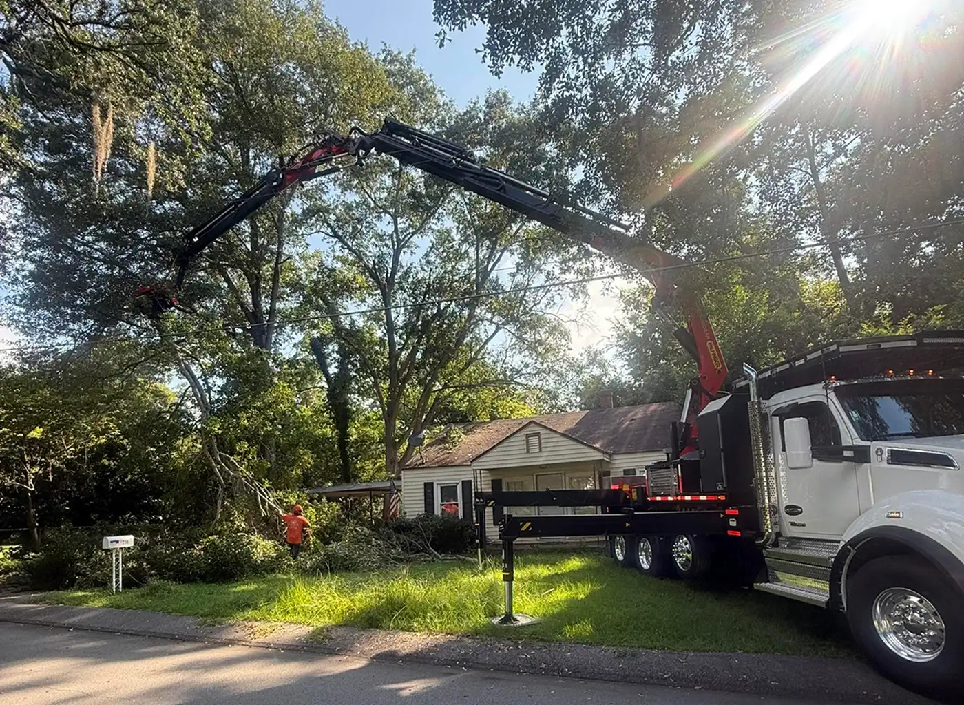 tree removal and trimming project Barnwell SC residential property