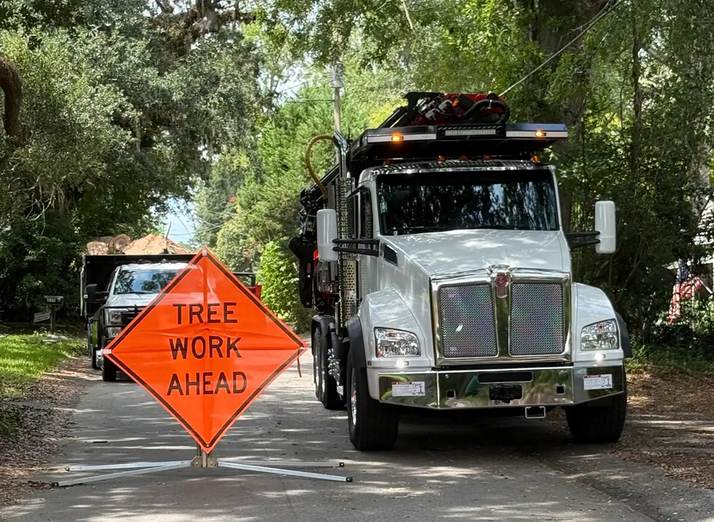 Commercial tree service crew clearing trees on business property