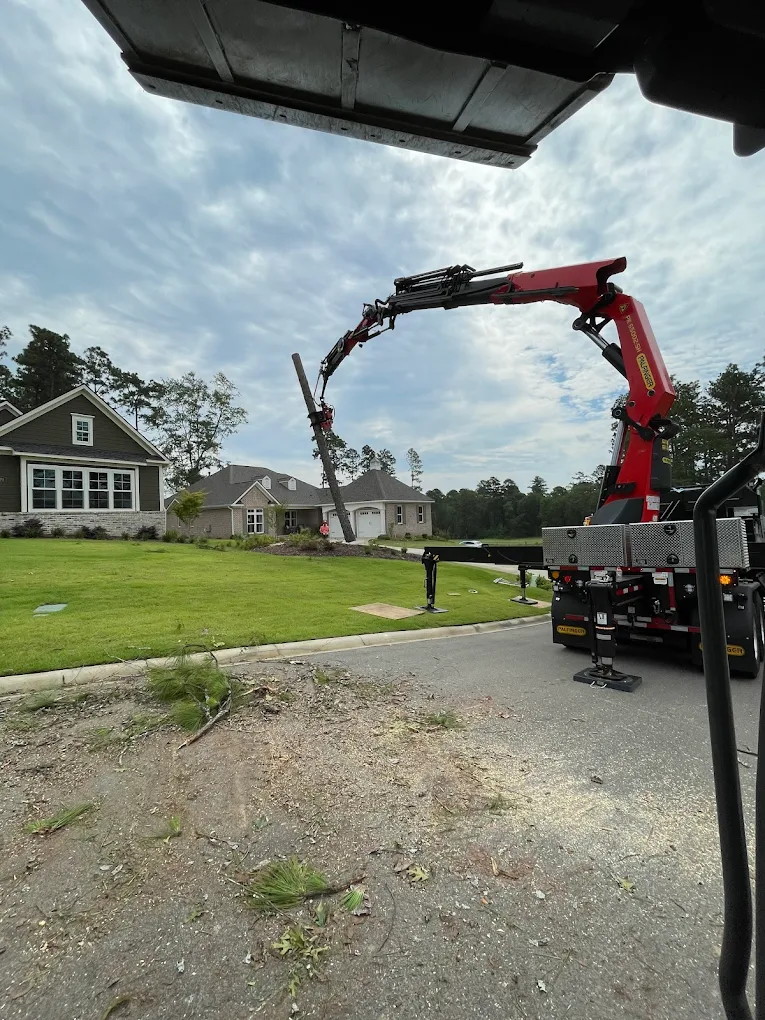 Tree Removal in Aiken SC near residential home