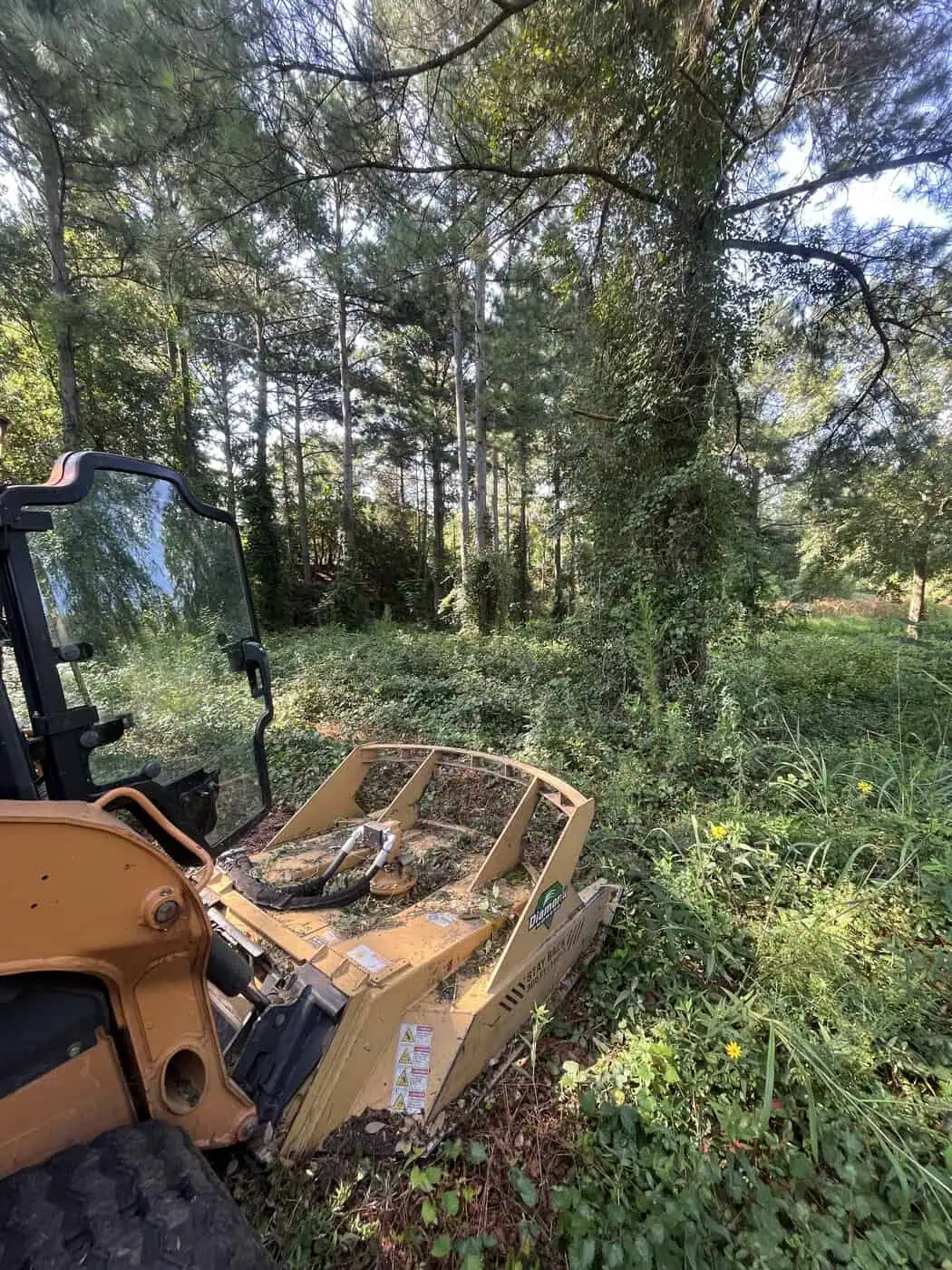 Fast stump grinding service removing multiple stumps in Barnwell County SC