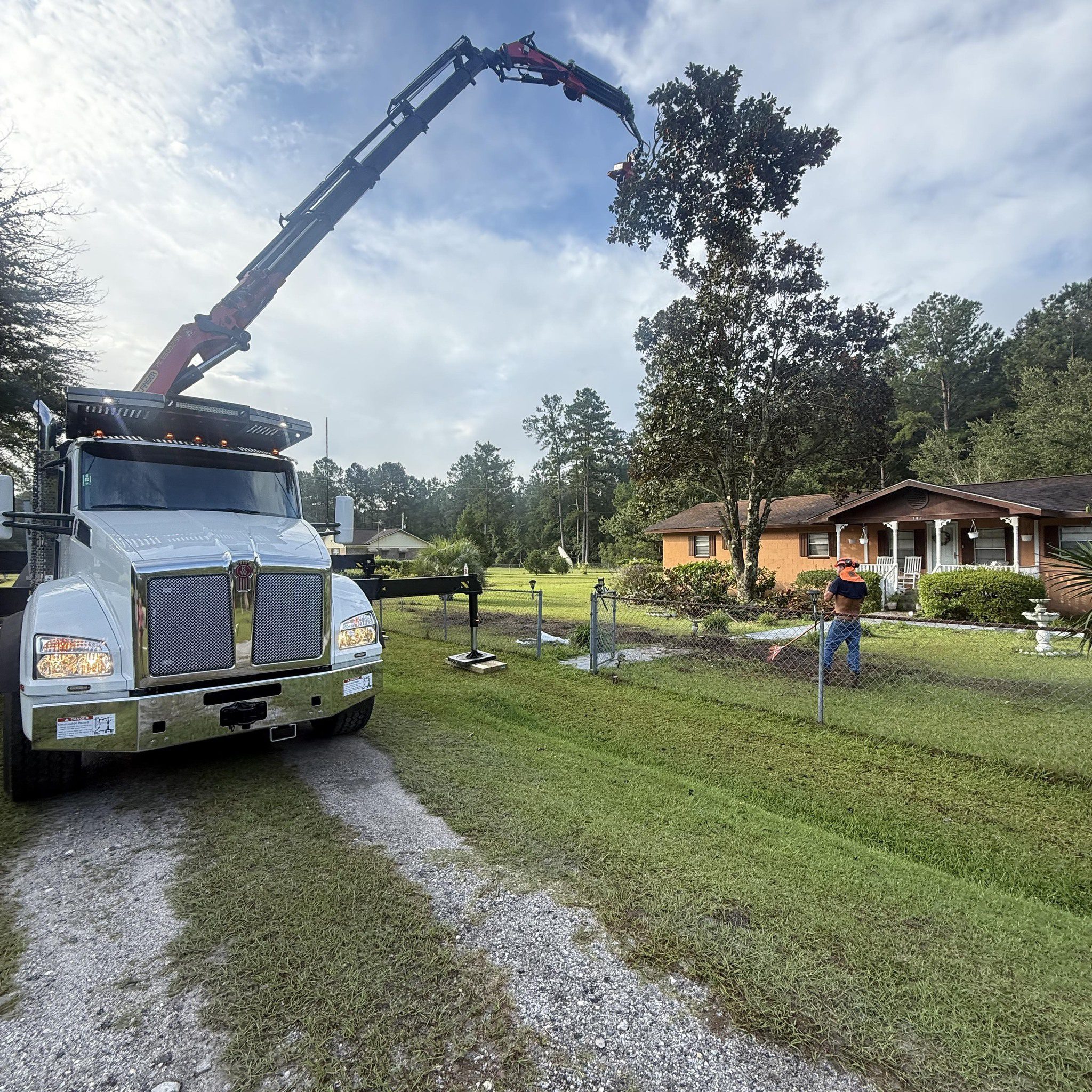 Pine tree removal near house in Barnwell County SC with safe and clean results