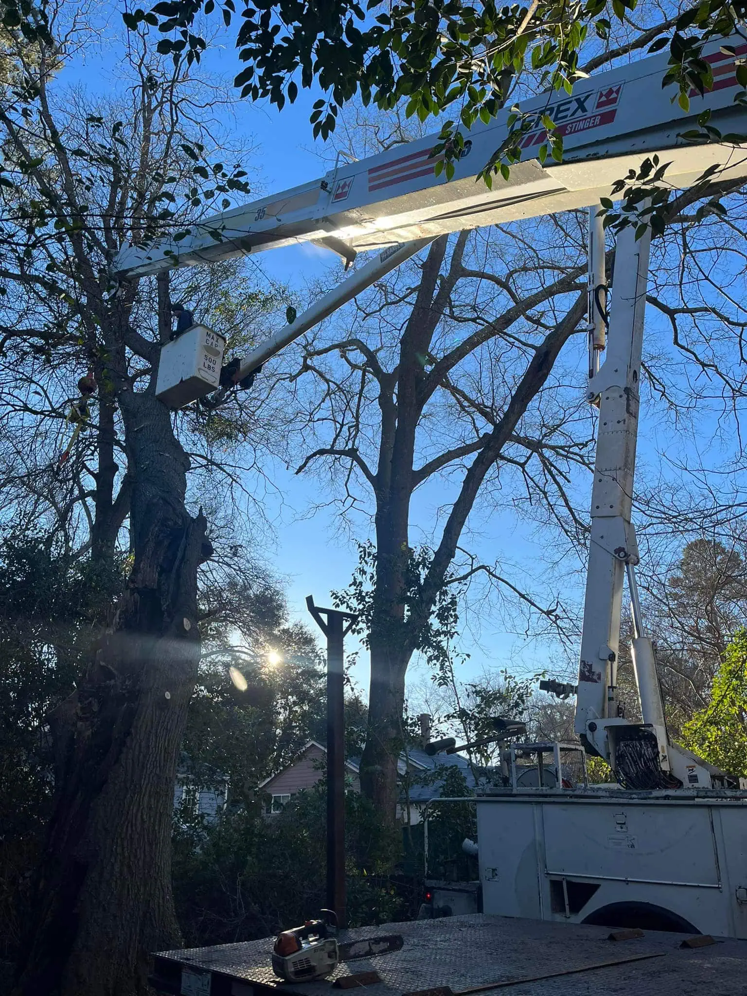 Tree trimming and removal in Barnwell County SC with clean yard results